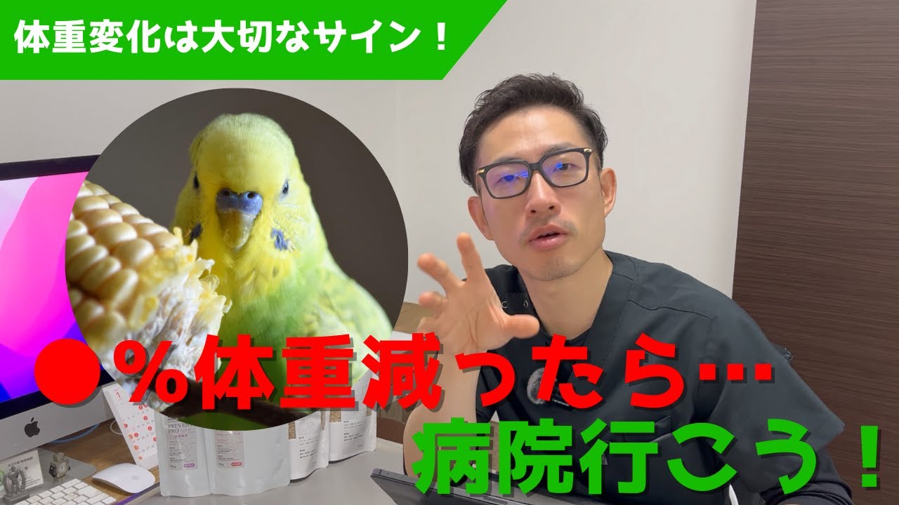 【質問コーナー】毎日体重測ってる？見逃せない病気のサイン