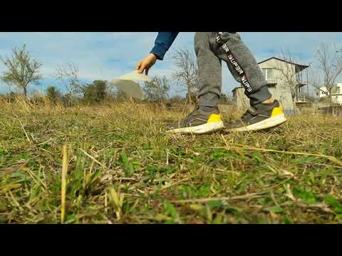 16 ნოემბერი, 2020