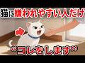 絶対やめて！猫に嫌われる人だけがする行動【猫雑学】