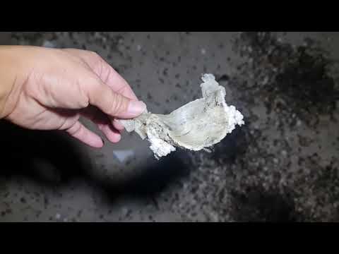 Video NHÀ YẾN THẤT BẠI | PHƯỚC LỘC THỌ MUA VÀ SỬA LẠI SAU 1... - youtube