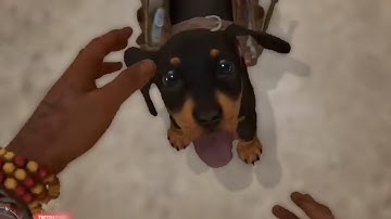 Sniffing Echolocation - Jerma Far Cry 6 Stream Recap (With Etalyx!)