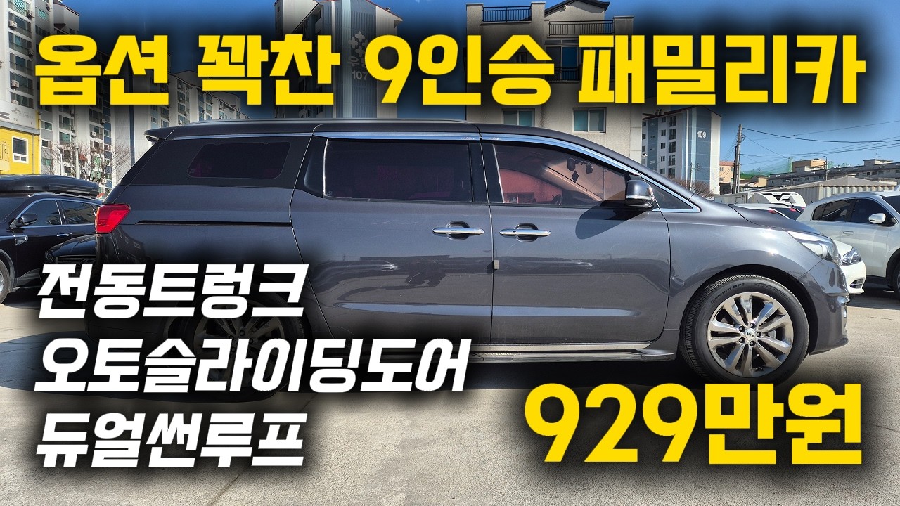 아빠들이 제일 좋아하는 패밀리카, 옵션도 정말 좋아요!!