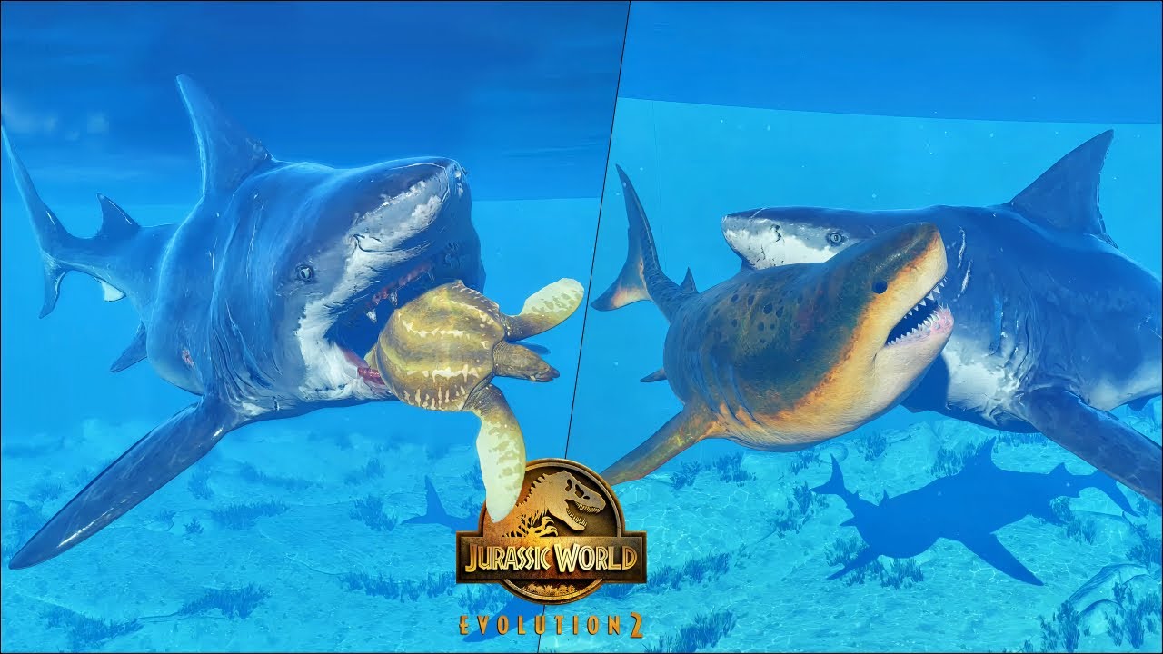 NEW MOD! LEVEL 99 MEGALODON HUNTING ARCHELON AND OTHER MARINE REPTILES | JURASSIC WORLD EVOLUTION 2