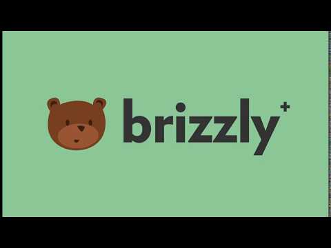 Introducing Brizzly+