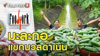 มะละกอแขกนวลดำเนิน : Foodwork [CC] (20 ก.ย. 63)