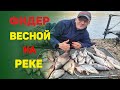 Рыбалка на фидер весной на реке. Ловим леще и большую плотву.