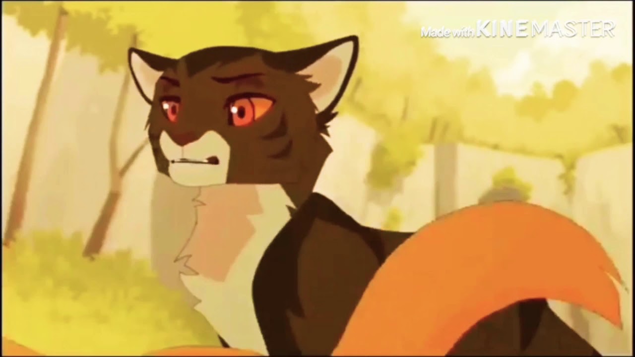 {КОТЫ воители-Hall of fame (на русском)} - YouTube