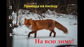 Супер привада на лисицу