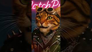 Кризис Дня Рождения! Кот Оправдывается, Мышь Взрывается!