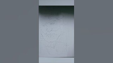 PUSPA2 ALLU ARJUN POTRAIT OUTLINE DRAW TUTORIAL||#youtubeshorts #pushpa2 #alluarjun #youtubefeed