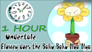 Nya baku baku meaning nya