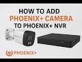 How to add Phoenix+ camera with Phoenix+ NVR