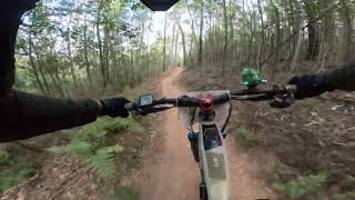 Fox Superflow Mogo 2026 - Flying Mullet