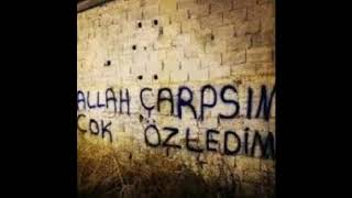 Gelsene - Orhan Ölmez