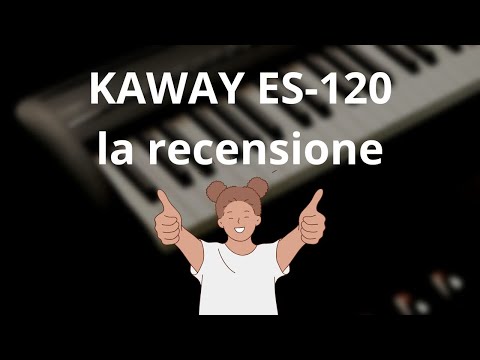 KAWAY ES-120 LA RECENSIONE