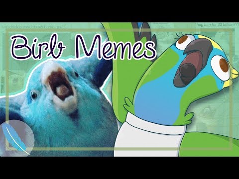 reacting-to-birb-memes