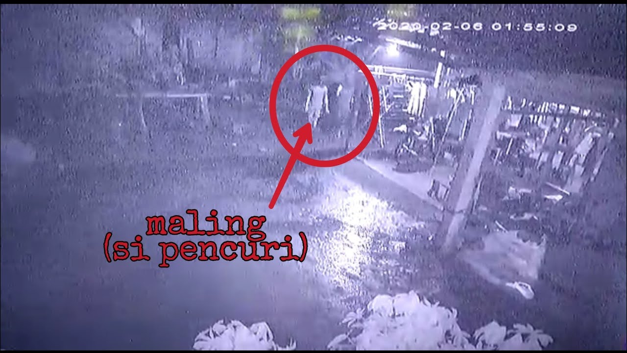 Cctv maling di umbul karet/banjar agung, lampung timur