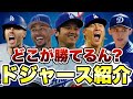 【MLB】どこが勝てるん?ロサンゼルス・ドジャース紹介!