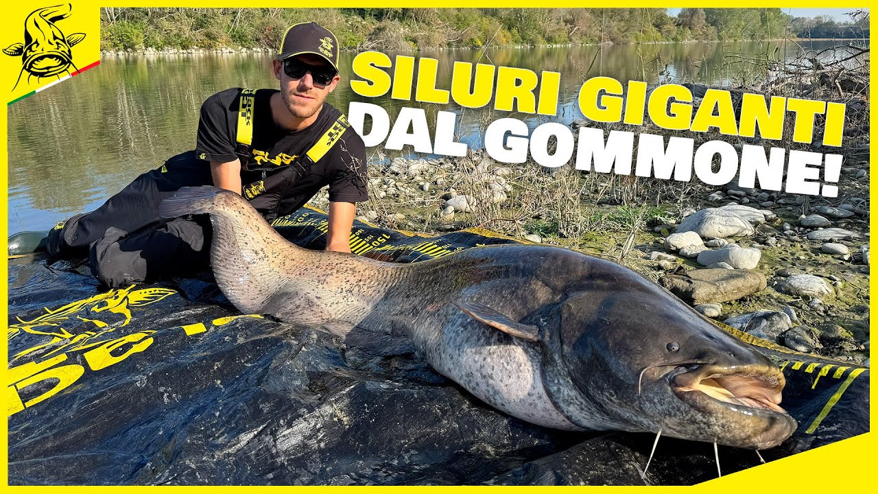 Ho pescato SILURI GIGANTI dal GOMMONE!