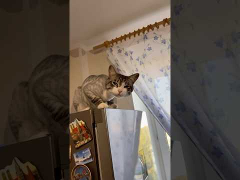 У вас тоже
