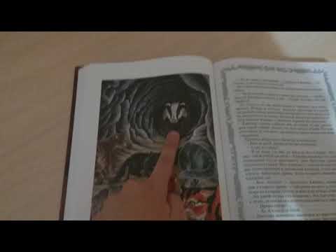 Обзор Золотая коллекция Коты воители: Полночь и Восход луны.