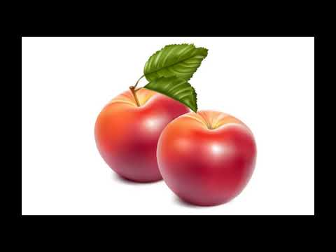 탈무드 마법의 사과