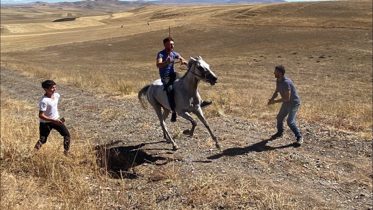 Yarışı kazanan atın sahibi bakın nasıl sevindi