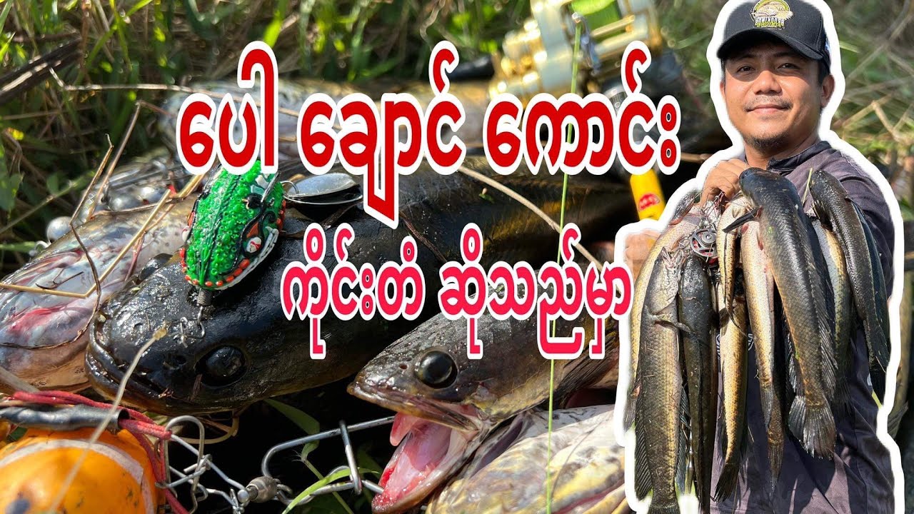 Snakehead Fishing