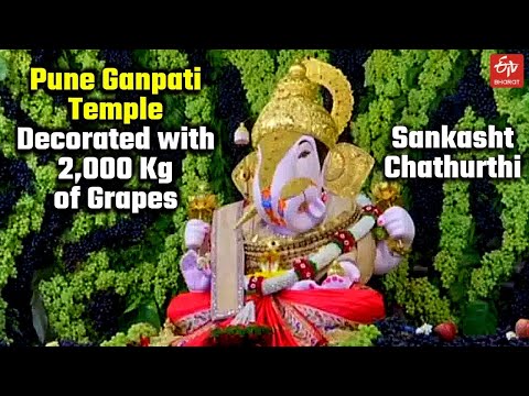 Pune Temple Decorated with 2,000 Kg of Grapes | Shrimant Dagdusheth Halwai Ganpati Mandir