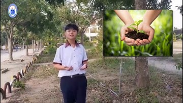 Hội thi hùng biện Tiếng Anh - Lớp 8 của phòng GDĐT Tam Nông