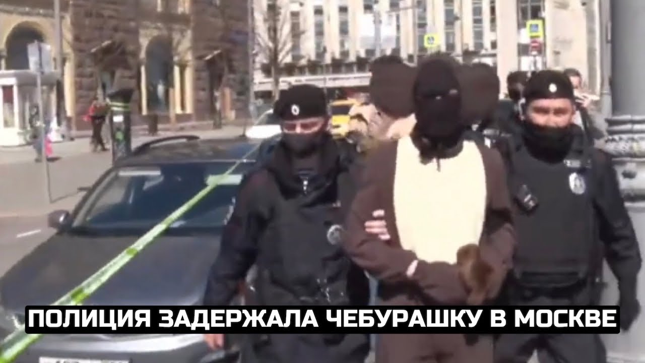 Полиция задержала Чебурашку в Москве