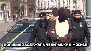 Полиция задержала Чебурашку в Москве