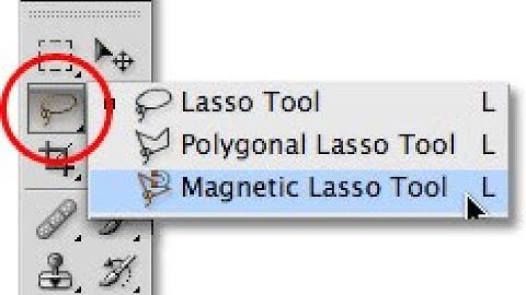 Photoshop CS3  Lasso , Polygonal , Magnetic tool