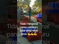 TIDAK MENGENAL PANAS PEMBURU DOLAR TETAP EKSIS TERUS DENGAN DUNIANYA