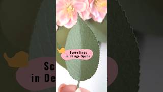 Score Lines in Cricut Design Space on your computer #papercrafts #paperflowers