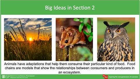 mySci 6 0 Unit 13 Unit Overview