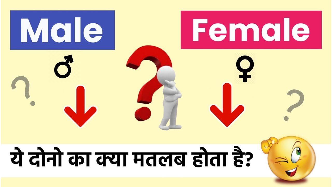 Male female ka matlab kya hota hai gender mein kya select kare male