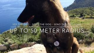 PetFinder PetID in Belgian Malinois