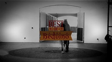 BEST OF BEDUINO (Chicks Beduino x Beat Your Pants Off - Six Fols)