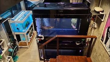 ฺBoat สาย 2 - งานสลับที่/จัดระเบียบตู้ปลาในบ้านใหม่ "จัดกว่าหนักและใหญ่" พร้อมงานระบบ O4FS Set 5