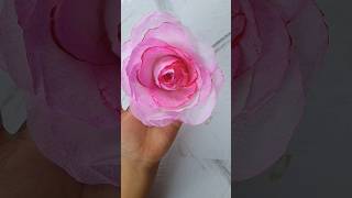 Easy Paper Rose Tutorial 🌹 DIY Tissue Flower Craft #shorts