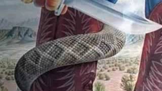 Nocona Snake Cowboy Boots