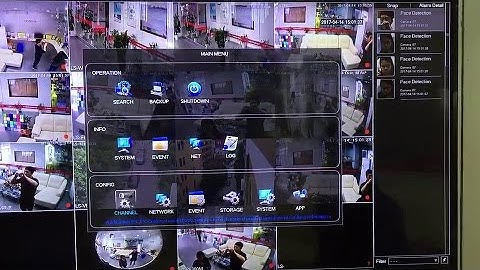 LS VISION HD NVR Face Detection Function Setting Guide
