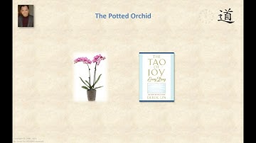 The Potted Orchid, A Tao Story from Derek Lin (TTC 56)