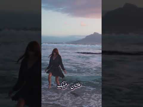 قلب واحد مش كفاية