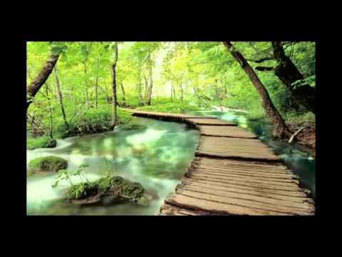 K D Lang- Helpless Lyrics