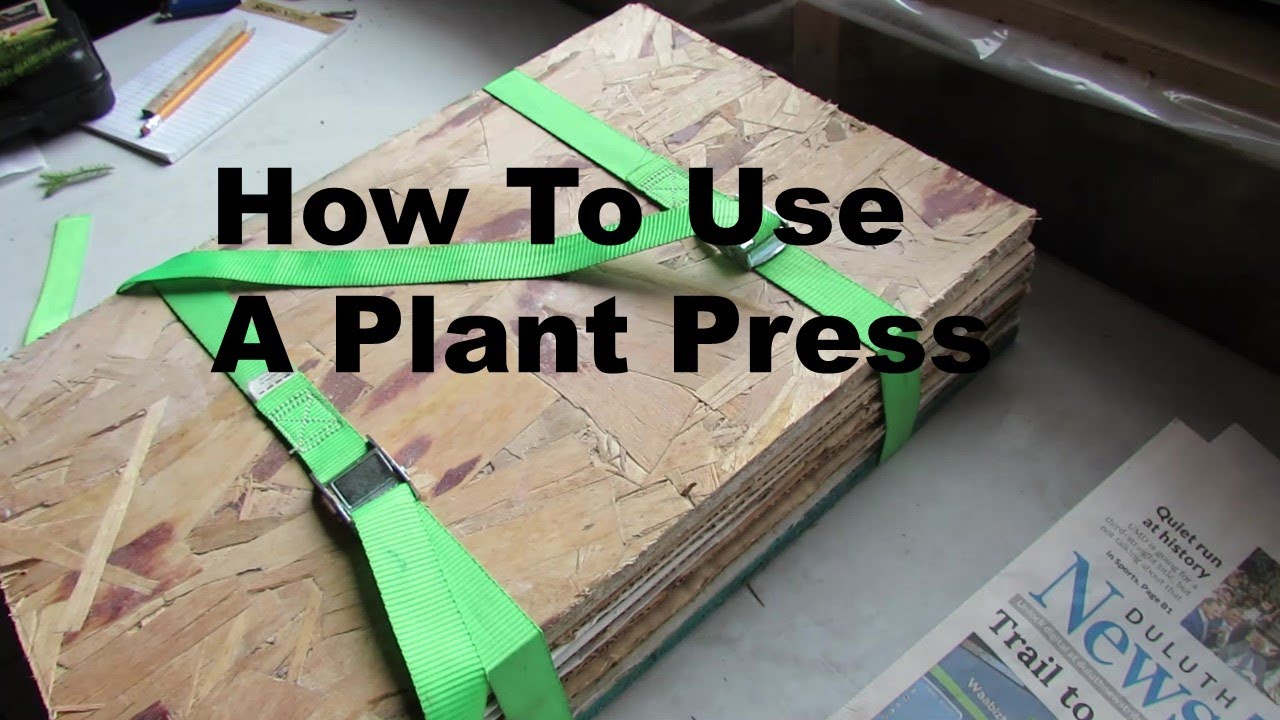 How To Use A Plant Press YouTube