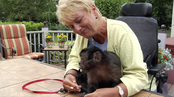 Why Capuchin? - Monkeys in a Minute