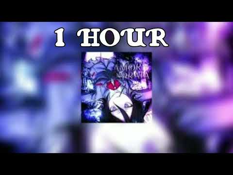 AMOR NA PRAIA SLOWED 1HOUR TIME 