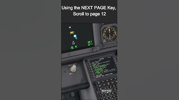 How to Activate the PMDG 737-600 HUD - MSFS 2020